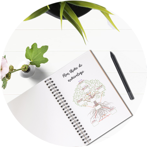 Espace ayurveda Fréjus