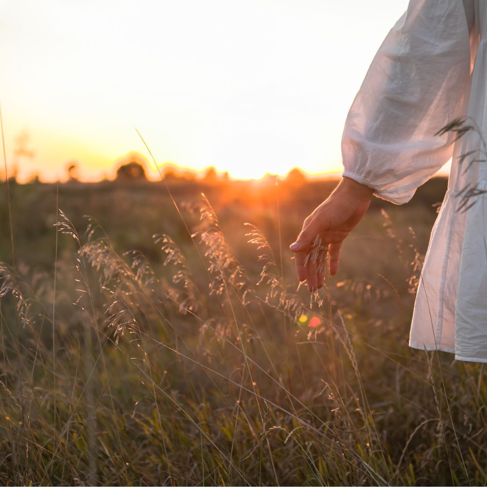 Conférences, ateliers et événements bien etre ayurveda